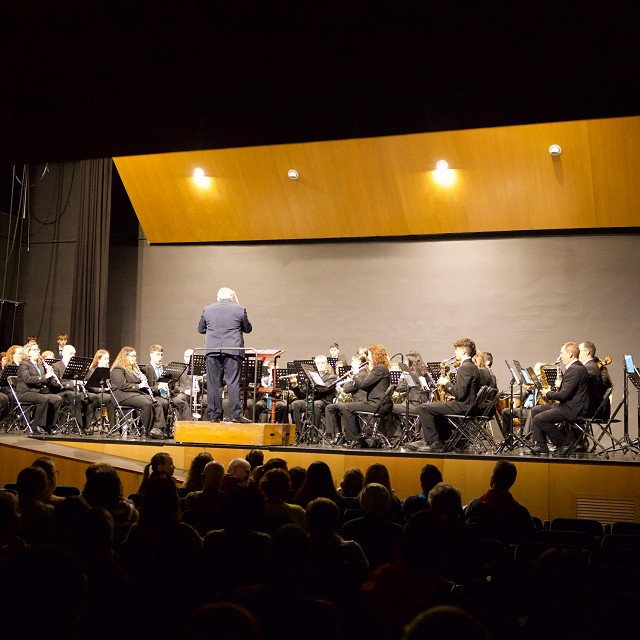 Foto Concert de Falles organitzat per la Falla Saladar